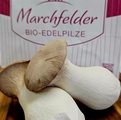 Marchfelder Bio-Edelpilze GmbH, Raasdorf Öffnungszeiten