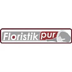 Floristik pur Inh. Fussi Irmgard, Obdach Öffnungszeiten