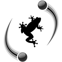 Quantenfrosch Webservices, Wien Öffnungszeiten
