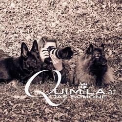 Quimila e.U., Kapfenberg Öffnungszeiten