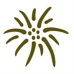 EWC EDELWEISS CONSULTING GmbH, Wien Öffnungszeiten