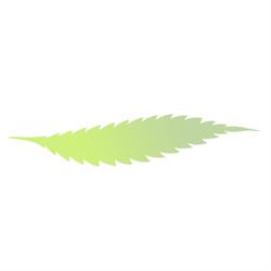 Bushplanet Distribution GmbH, Brunn am Gebirge Öffnungszeiten