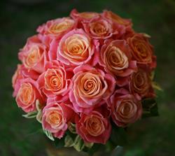 Lavendel & Rosen Mag. art. Margot Josefa Pernerstorfer, Gars am Kamp Öffnungszeiten