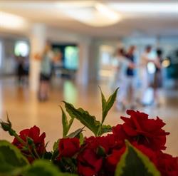 Tanzschule Let's Dance Leibnitz, Tillmitsch Öffnungszeiten