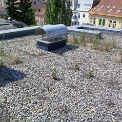 ER Flachdachprüfung GmbH, Semriach Öffnungszeiten