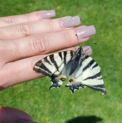 Nageldesign & Maniküre Daniela Wimmer, Persenbeug Öffnungszeiten