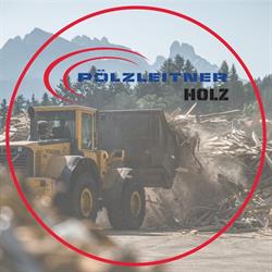 Pölzleitner Holz GmbH, Abtenau Öffnungszeiten