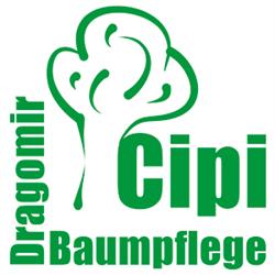 Alexandru Ciprian Dragomir, Purkersdorf Öffnungszeiten