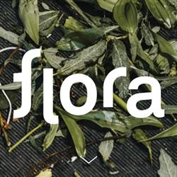 Flora - Blumenmomente, Dornbirn Öffnungszeiten