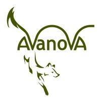 Herzog Horst, Avanova Design, Salzburg Öffnungszeiten