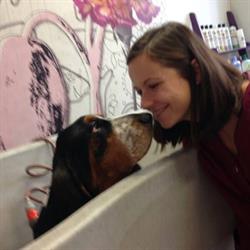 Hundesalon Döbling Krenn Lehner OG, Wien Öffnungszeiten