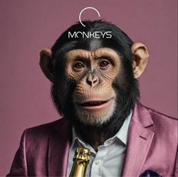 Monkeys Graz, Öffnungszeiten