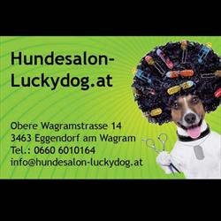 Hundesalon Luckydog, Eggendorf am Wagram Öffnungszeiten