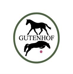 Wünschek-Dreher'sche Gutsverwaltung "Gutenhof", Himberg Öffnungszeiten