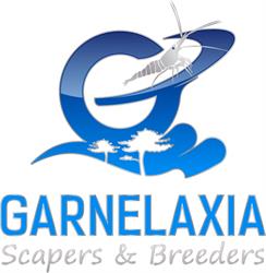 Garnelaxia - Matthias Jesenko, Wien Öffnungszeiten