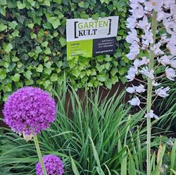GartenKult, Altenfelden Öffnungszeiten