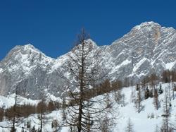 Haus Korda, Ramsau am Dachstein Öffnungszeiten