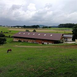 Pferdehof Hennerbichler, Freistadt Öffnungszeiten