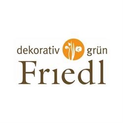 Friedl dekorativ grün, Graz Öffnungszeiten