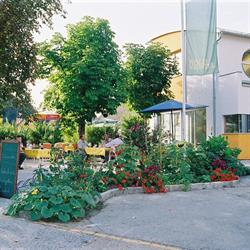 Gasthof "Zur Hammerschmiede", Drosendorf an der Thaya Öffnungszeiten