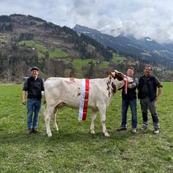 Eadahof Fam Kolb, Hippach Öffnungszeiten