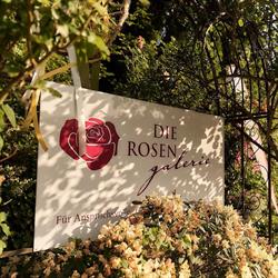 Die Rosengalerie, Güttenbach Öffnungszeiten