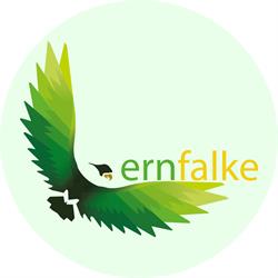 Lernfalke, Traiskirchen Öffnungszeiten
