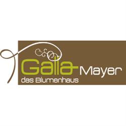 Galla-Mayer Blumenhaus, Judenburg Öffnungszeiten