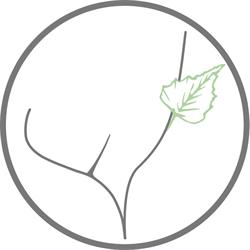 Dr. Sophie L. Teuschl, Wien Öffnungszeiten