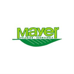 Mayer GmbH Pflanzen - Baumschule, Salzburg Öffnungszeiten
