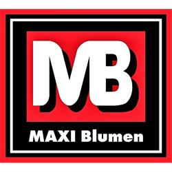 MAXI Blumen, Wien Öffnungszeiten