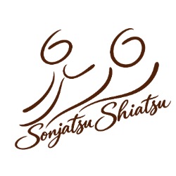 Shiatsu & Tuina Massage Praxis Sonjatsu, Wien Öffnungszeiten