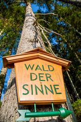 Wald Der Sinne, Greith Öffnungszeiten