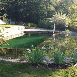 Gartenplanung Lechner, Neulengbach Öffnungszeiten