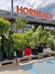 HORNBACH Leoben, Öffnungszeiten