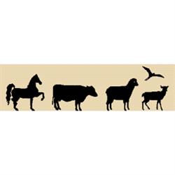 Tierarztpraxis Taxacher, Wörgl Öffnungszeiten