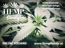 HEMPfamily, Enns Öffnungszeiten