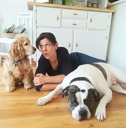 Hundesalon LA-Groom Inh. Alexandra Schwarzgruber, Wels Öffnungszeiten