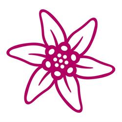 Edelweiss Werbeagentur GmbH, Ebersdorf Öffnungszeiten