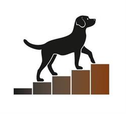 Hundekompetenz Baden, Öffnungszeiten