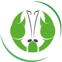 Green Lobster Recording Studios, Graz Öffnungszeiten