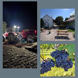 Heuriger und Winzerhof - Robert Waltner, Großriedenthal Öffnungszeiten