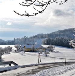 Urlaub am Bauernhof Wenigeder - Herta und Franz Klopf, Gutau Öffnungszeiten