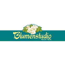blumenstudio, Gössendorf Öffnungszeiten