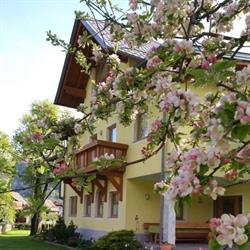 Landhaus Flaschberger, Rattendorf Öffnungszeiten