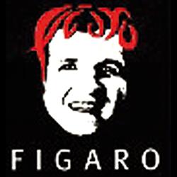 FIGARO H Sterniczky, Oberwart Öffnungszeiten