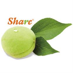 Share Pflaume Headquater, Fernitz Öffnungszeiten