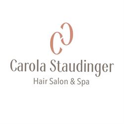 STAUDINGER CAROLA CLAUDIA, Wien Öffnungszeiten