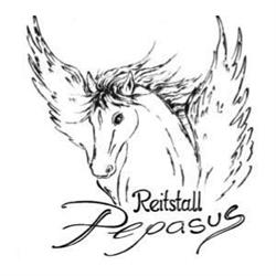 Reitstall Pegasus Gschwent Nina Falkner, Obsteig Öffnungszeiten