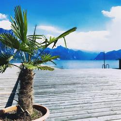 Treffpunkt am See, Gmunden Öffnungszeiten